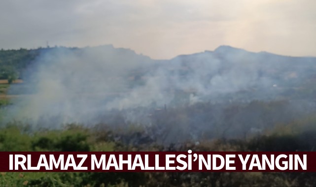 Irlamaz Mahallesi'nde yangın!