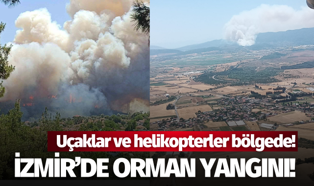 İzmir'de orman yangını: Uçaklar ve helikopterler bölgede!