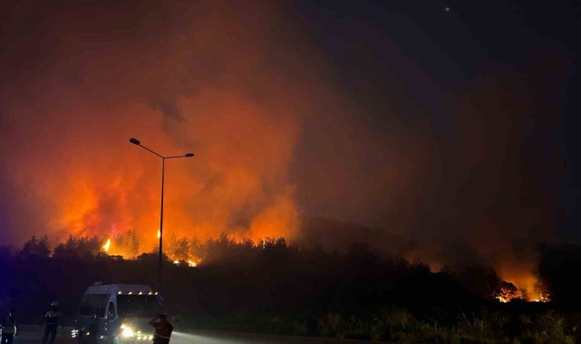 İzmir Selçuk'taki yangın havadan görüntülendi