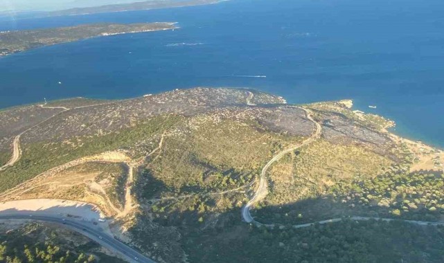 İzmir'deki orman yangını kontrol altına alındı