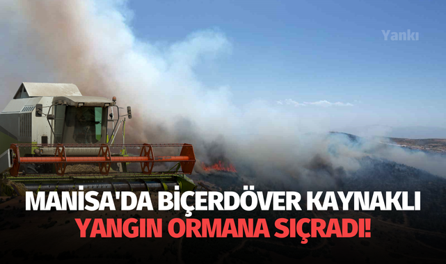 Manisa'da biçerdöver kaynaklı yangın ormana sıçradı!