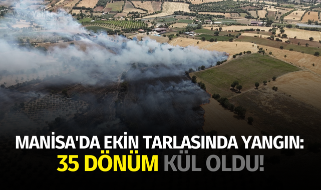Manisa'da ekin tarlasında yangın: 35 dönüm kül oldu!