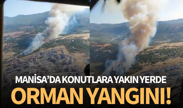 Manisa'da konutlara yakın yerde orman yangını!