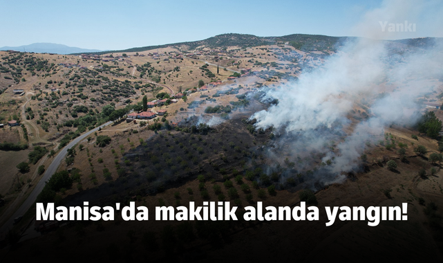 Manisa'da makilik alanda yangın
