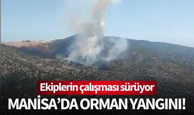 Manisa'da orman yangını!