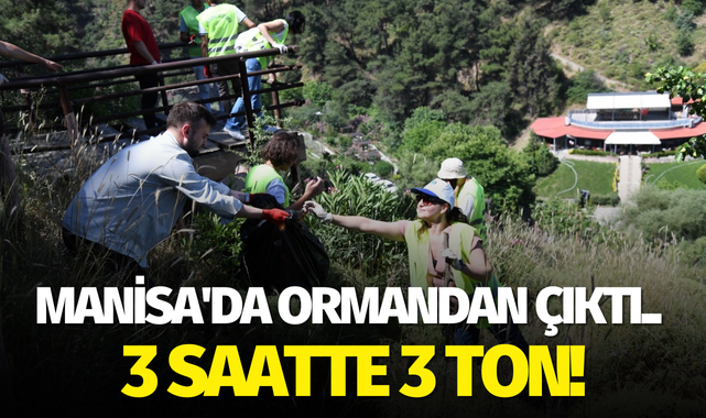 Manisa'da ormandan çıktı.. 3 saatte 3 ton!