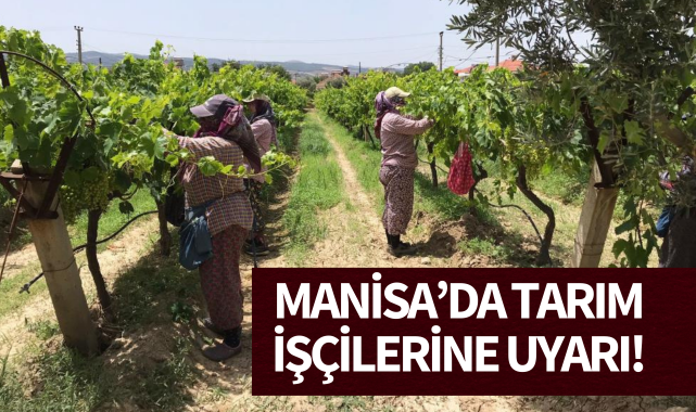 Manisa'da tarım işçilerine uyarı!