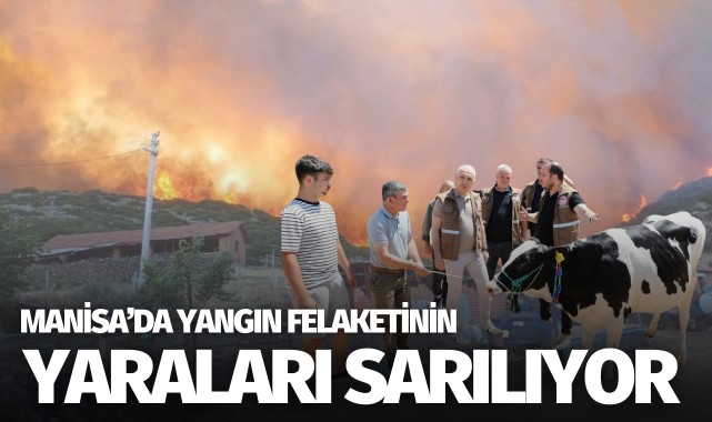 Manisa’da yangın felaketinin yaraları sarılıyor