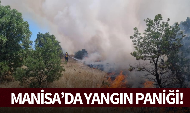 Manisa'da yangın paniği!