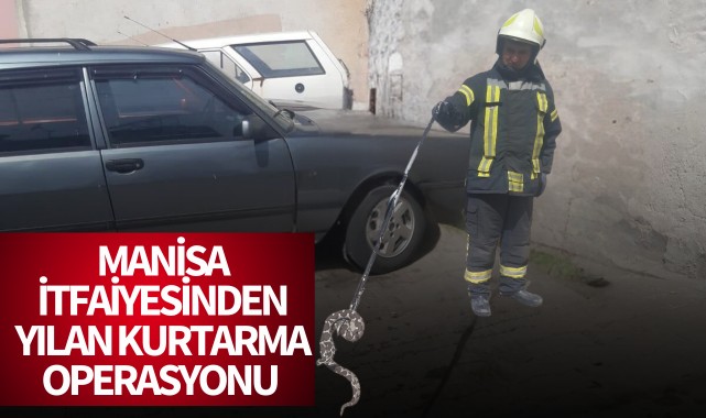Manisa’da yılan kurtarma operasyonu 