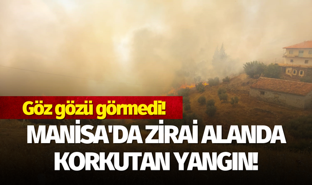 Manisa'da zirai alanda yangın!