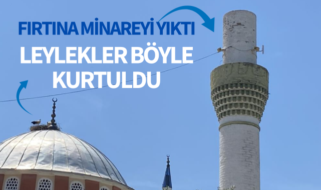 Manisa'da fırtına minareyi yıktı: Leylekler böyle kurtuldu!