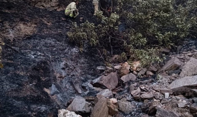 Manisa'da 50 dekarlık meyve bahçesi kül oldu