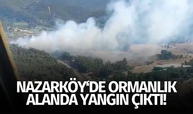 Nazarköy'de orman yangını