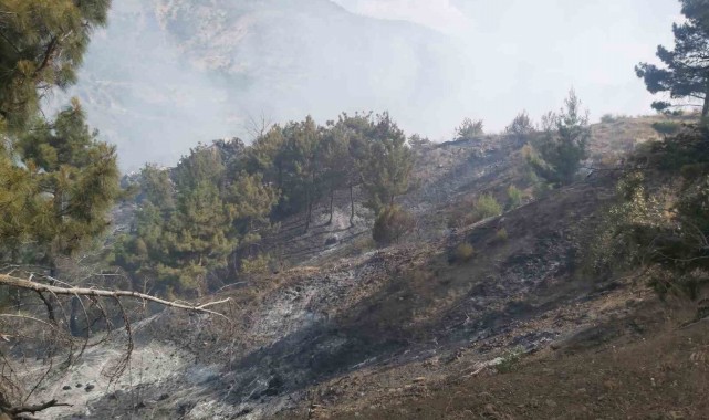Ormanlık alanda çıkan örtü yangını söndürüldü