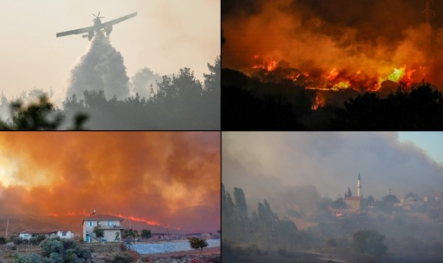 Rekor sıcaklıkların yaşandığı haziranda orman yangınları geçen yıla göre yaklaşık 5 kat arttı