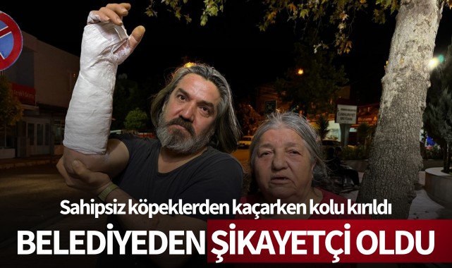 Sahipsiz köpeklerden kaçarken kolu kırılan kişi, belediyeden şikayetçi oldu