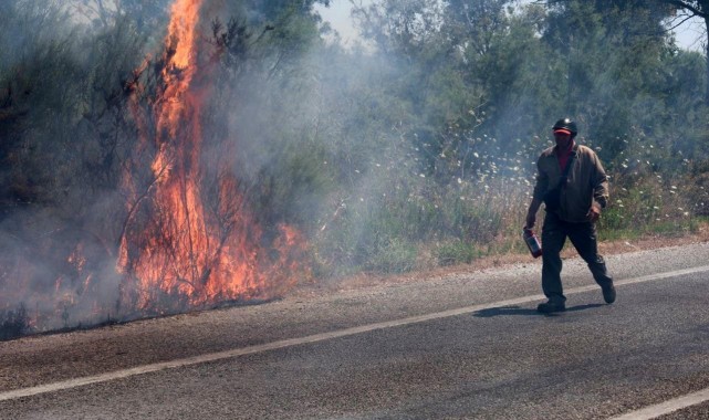 Selçuk'ta bir yangın daha: İlk müdahale vatandaşlardan