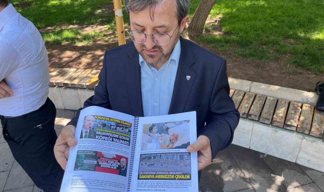 Sokakların güvenliği için vatandaşlar sahipsiz köpek sorununa çözüm bekliyor