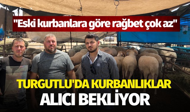 Turgutlu'da kurbanlıklar alıcı bekliyor
