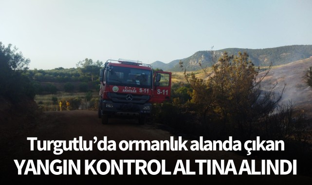 Turgutlu'da ormanlık alanda çıkan yangın kontrol altında