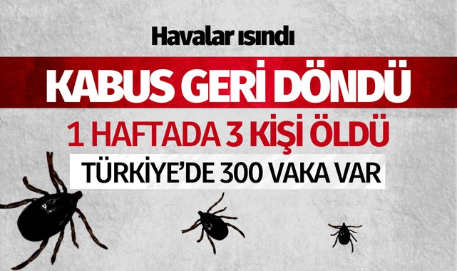 Türkiye'de KKKA kabusu yeniden başladı: Bir haftada 3 kişi öldü