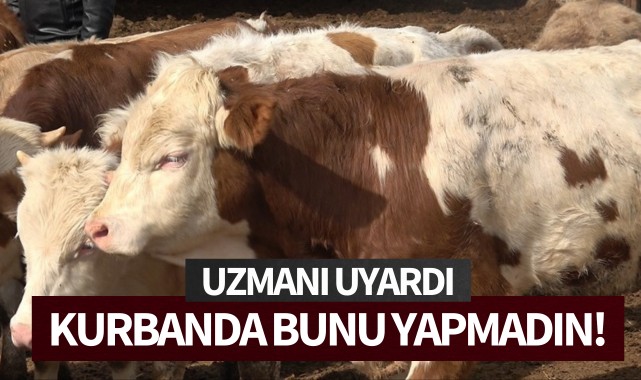 Uzmanı uyardı: Kurban Bayramı'nda bunu yapmayın!