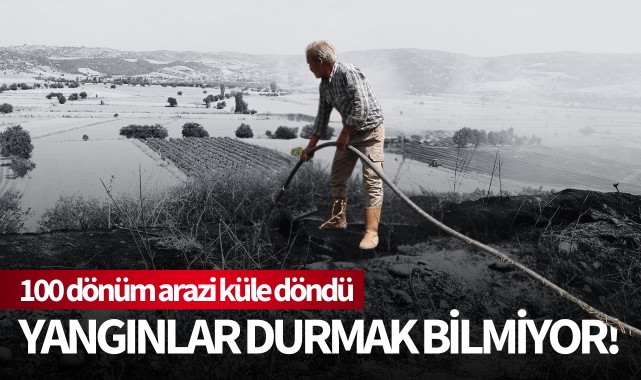 Yangınlar durmak bilmiyor: 100 dönüm arazi küle döndü!