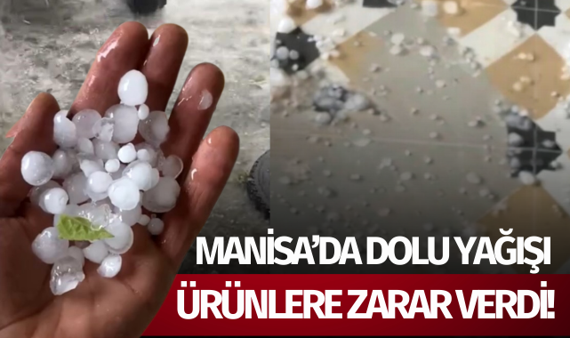 Manisa'da etkili olan dolu yağışı ürünlere zarar verdi!