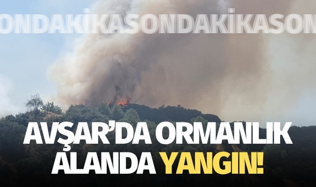 Avşar'da ormanlık alanda yangın!