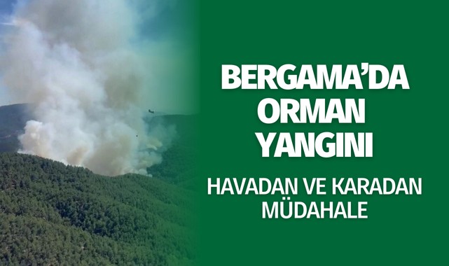 Bergama'daki orman yangına havadan ve karadan müdahale