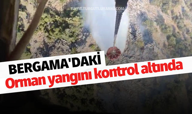Bergama'daki orman yangını kontrol altında