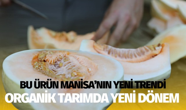 Bu ürün Manisa'nın yeni trendi!