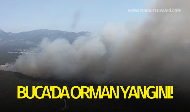 Buca'da orman yangını