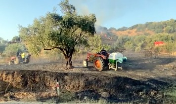 Dalbahçe'de arazi ve makilik yangını