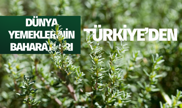 Dünya yemeklerinin baharatları Türkiye'den