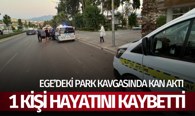 Ege'deki park kavgasında kan aktı: 1 ölü!