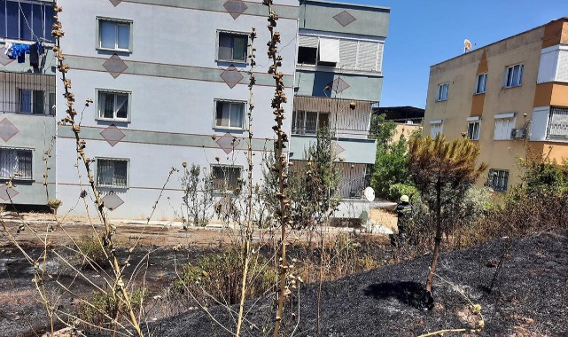 Ergenekon'da ot ve ağaç yangını paniği