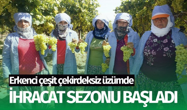 Erkenci çeşit çekirdeksiz üzümde ihracat sezonu başladı