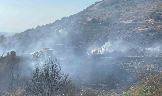 Foça'daki orman yangınının çıkma nedeni belli oldu
