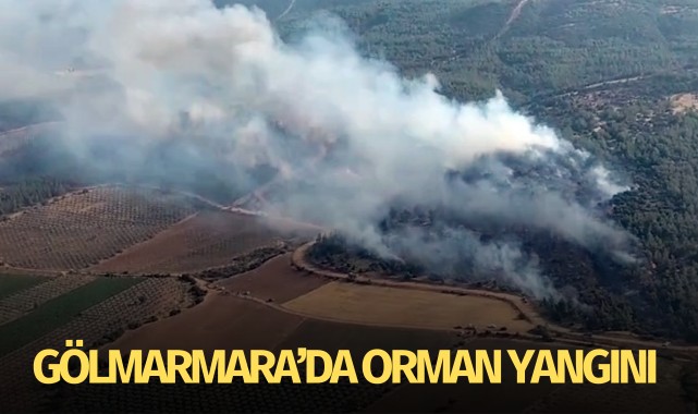 Gölmarmara'da orman yangını!