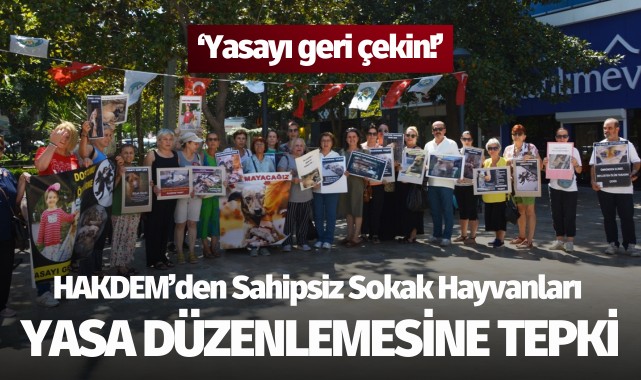 HAKDEM'den Sahipsiz Sokak Hayvanları Yasa Düzenlemesine Tepki
