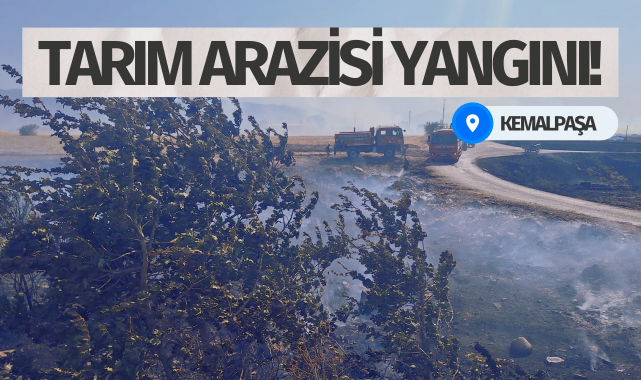 Halilbeyli'de tarım arazisi yangını!