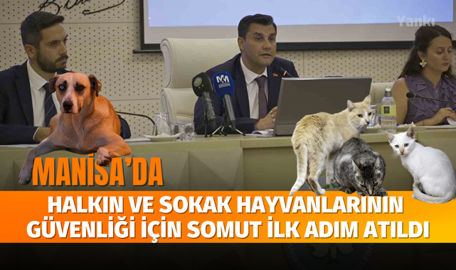 Halkın ve sokak hayvanlarının güvenliği için somut ilk adım atıldı
