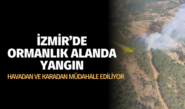 İzmir'de orman yangını