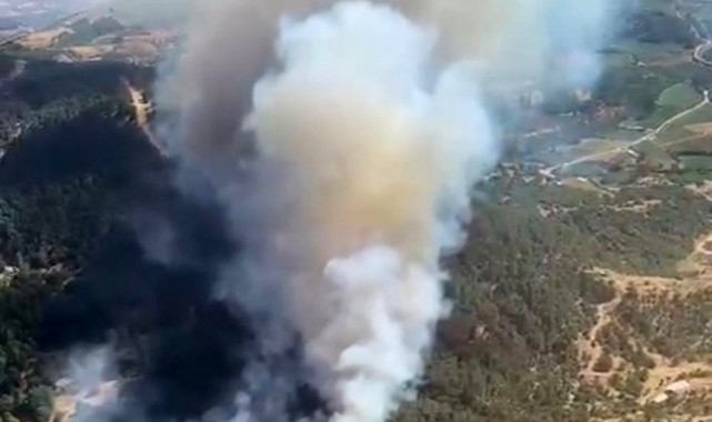 İzmir Ödemiş'te çıkan orman yangını kontrol altına alındı