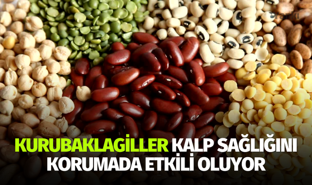 Kurubaklagiller kalp sağlığını korumada etkili oluyor