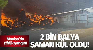 Manisa'da çiftlik yangını: 2 bin balya saman kül oldu