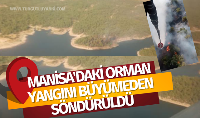 Manisa'daki orman yangını büyümeden söndürüldü