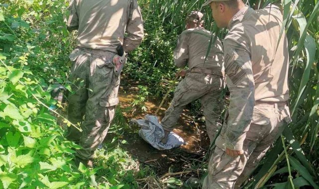 Manisa jandarmasından zehir tacirlerine geçit yok: 4 gözaltı